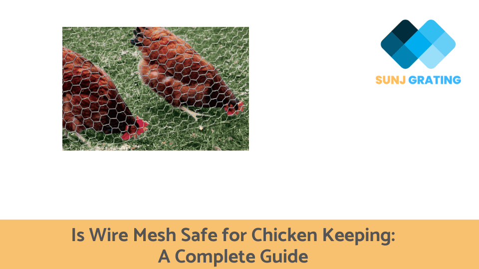 Is Wire Mesh Safe for Chicken Keeping A Complete Guide