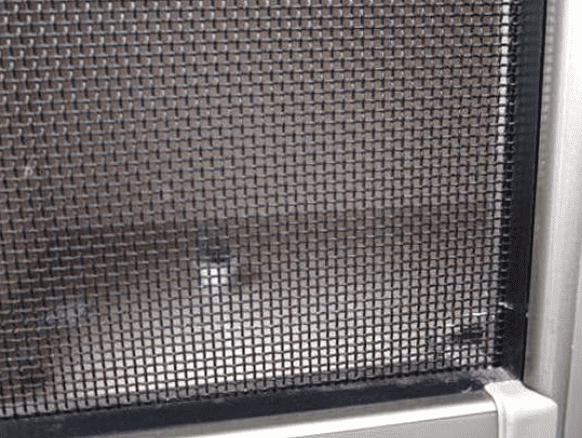 Beyond Just Bugs: Surprising Uses for Insect Screen Mesh in Everyday Life-4