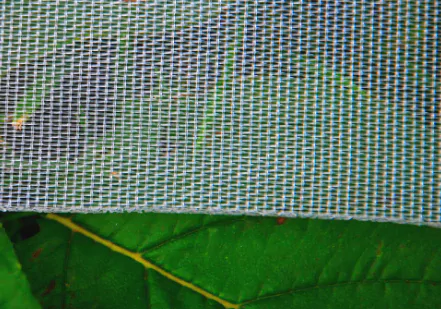 What is Insect Screen Mesh-5