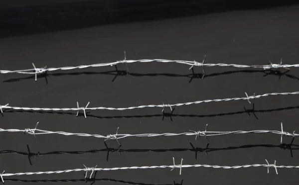 5 Common Uses of Barbed Wire Mesh-5