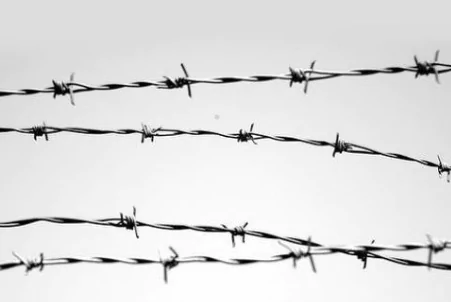 5 Common Uses of Barbed Wire Mesh-6